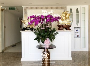 CĂN HỘ ROYAL - MR. BÌNH - ĐƯỜNG MORRISON - ĐÀ NẴNG