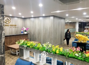 SIÊU THỊ BẤT ĐỘNG SẢN - HOME LAND GROUP - ĐƯỜNG 2/9 - ĐÀ NẴNG